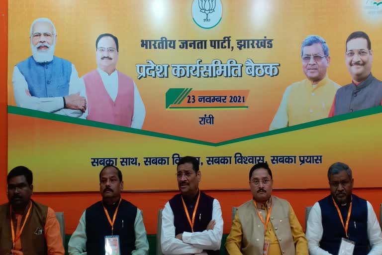 BJP working committee meeting