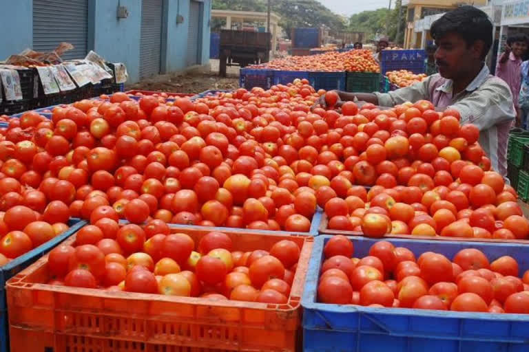 Tomato price hike