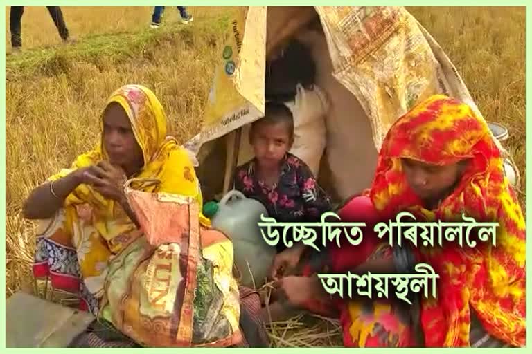 evicted families shifted to changmaji reserve