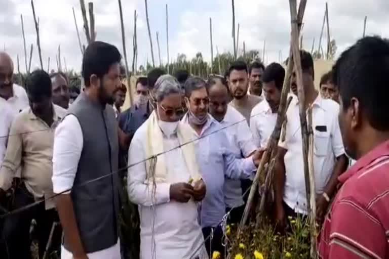 Siddaramaiah visited hosakote