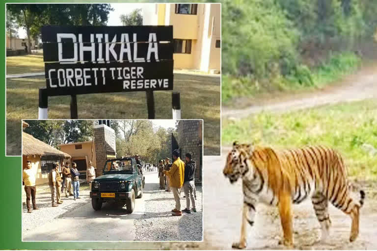 dhikala zone of corbett national park