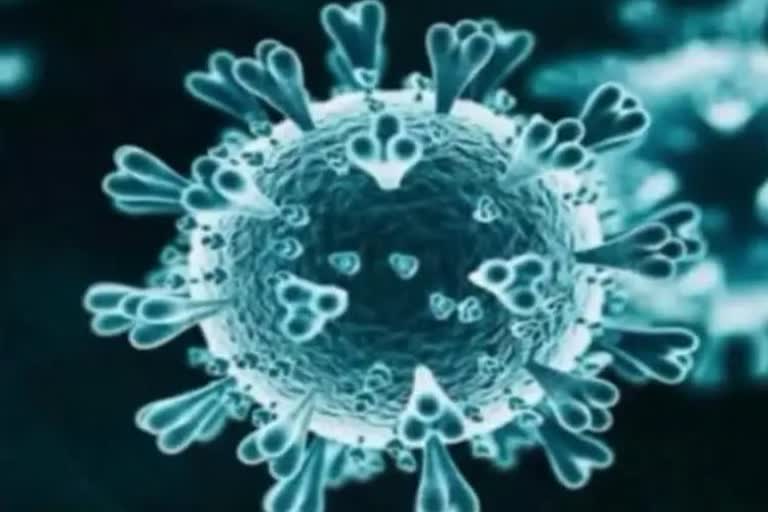 178 new Coronavirus Delta variant cases reported in New Zealand