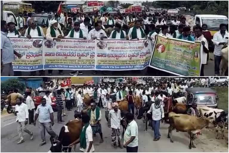 Milk Producers Protests in Gauribidanur