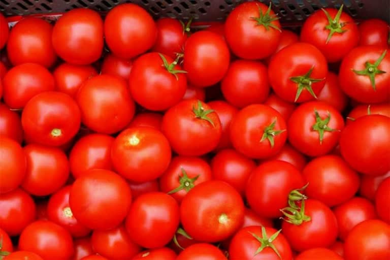 tomato-price-decreased-in-tamilnadu