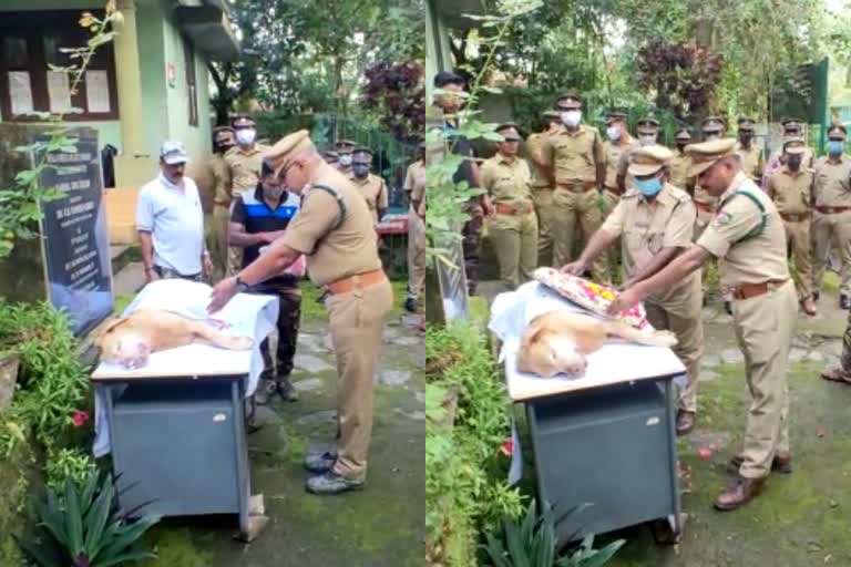 മറയൂർ ചന്ദന മോഷണം  Dog squad Kichu died  കിച്ചു നായ  Marayoor sandal theft