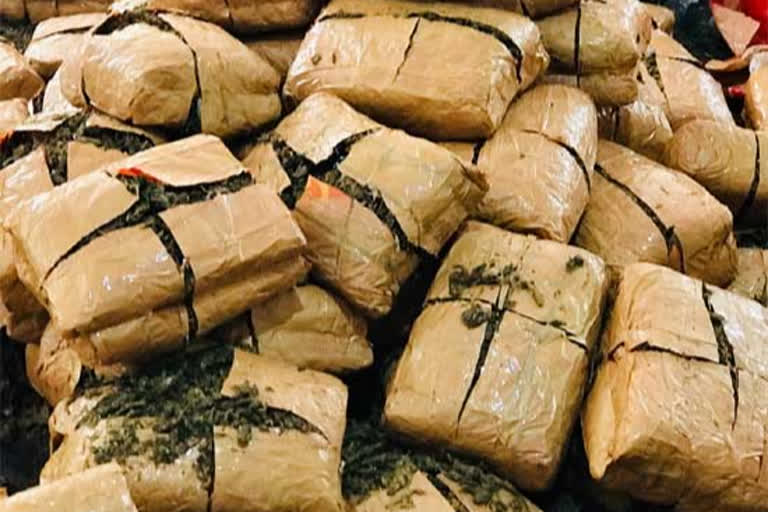 Ganja seizedGanja seized in Hyderabad today