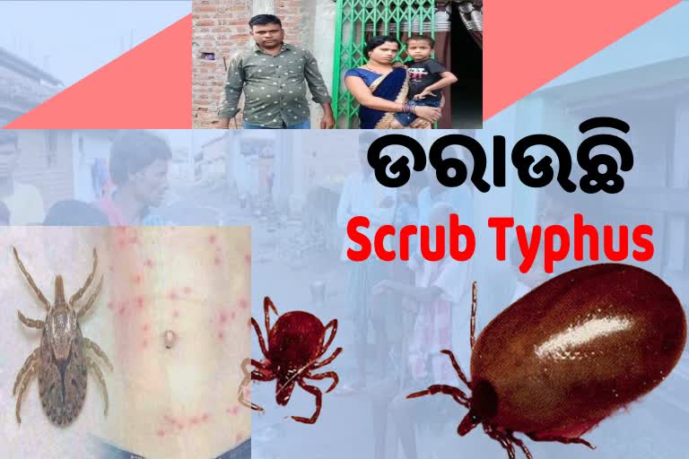 Nabarangpur Scrub Typhus: ଲୋକେ ଆତଙ୍କିତ