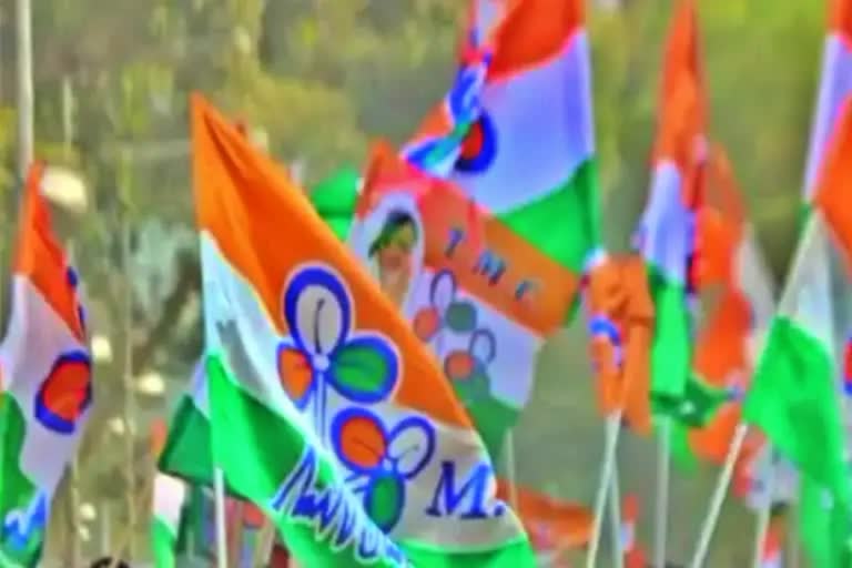 TMC flag (file photo)