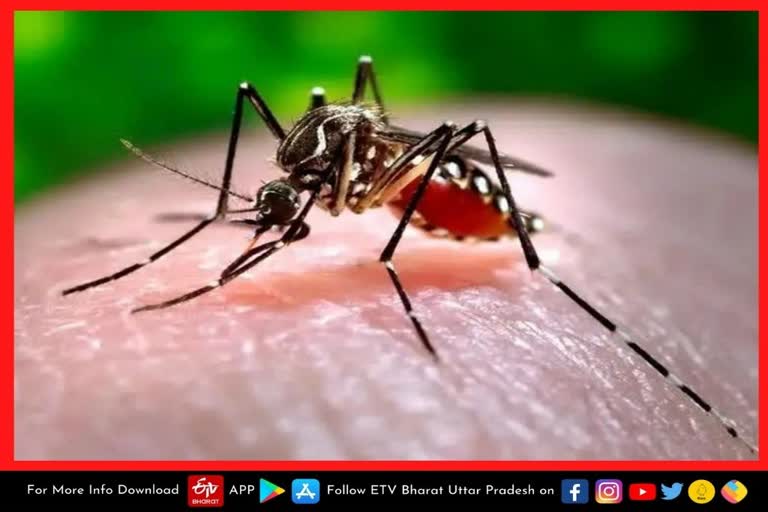 यूपी में अब फतेहपुर भी zika virus की गिरफ्त में.