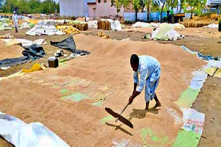 farmer-died-of-heart-attack-at-yellareddy-kamareddy-district-today