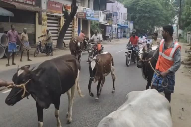 திருச்சி மாநகராட்சி ஆணையர் தெரிவித்துள்ள செய்திக் குறிப்பில் சாலைகளில் சுற்றித் திரியும் கால்நடைகளின் உரிமையாளர்களுக்கு ரூபாய் 10, 000 அபராதம் என கூறப்பட்டுள்ளது