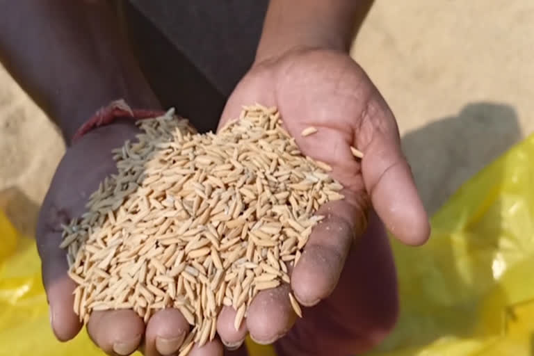 paddy-farmers-facing-problems-to-sell-thier-grain