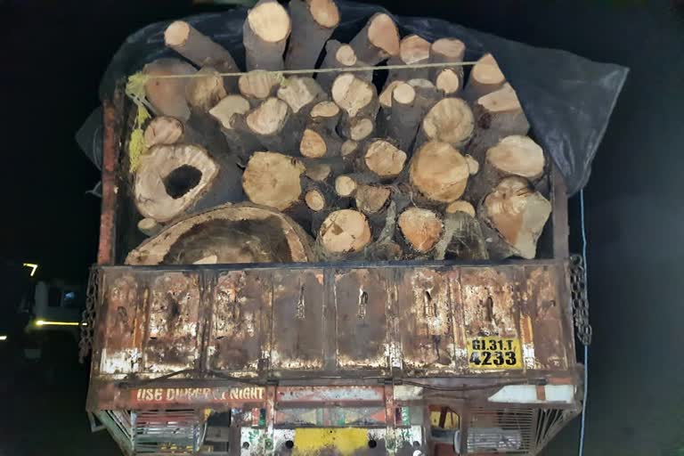 timber smuggling in dungarpur