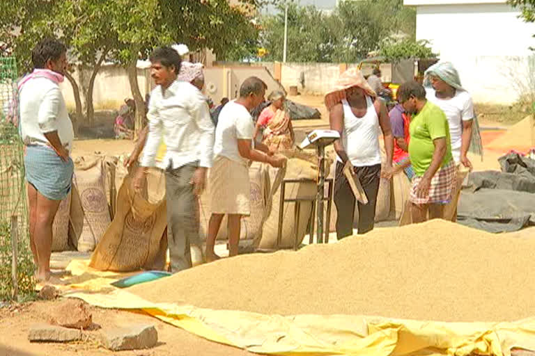 paddy procurement issues, paddy procurement problems in mahabubnagar