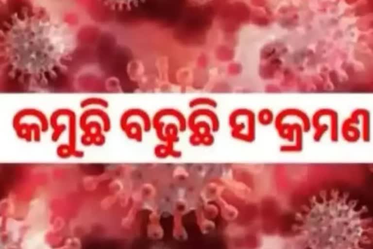 Odisha Corona Report: ଦିନକରେ ୨୬୪ ସଂକ୍ରମିତ ଚିହ୍ନଟ