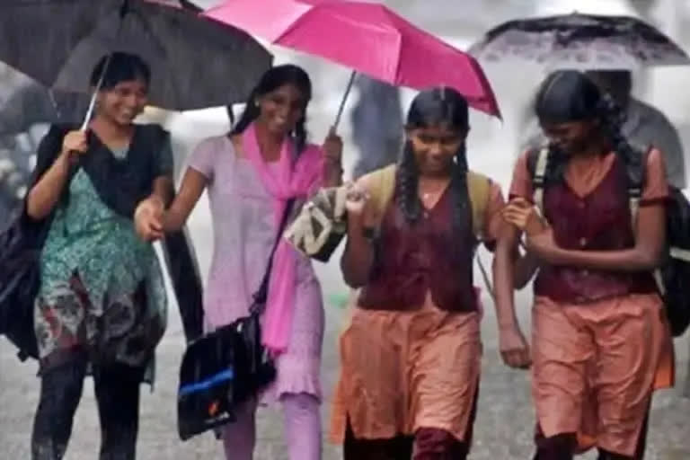 Holiday declared in schools, colleges in Tamil Nadu due to heavy rain
