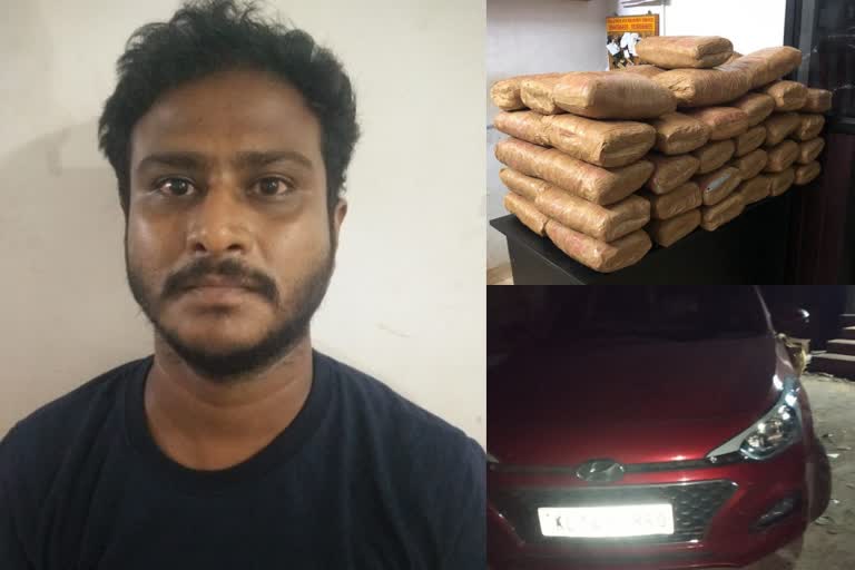 Youth arrested with cannabis in Kasaragod  കഞ്ചാവുമായി കാസർകോട് യുവാവ് അറസ്റ്റിൽ  crime news