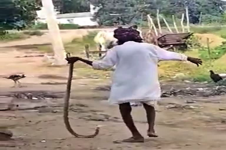 old man dies due to snakebite