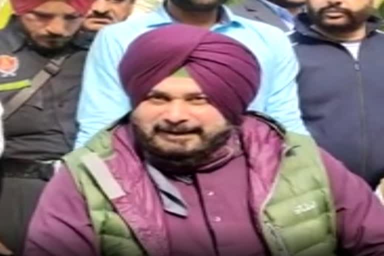 Punjab Congress President Navjot Singh Sidhu etv bharat