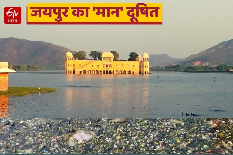 Water Pollution In Jal mahal