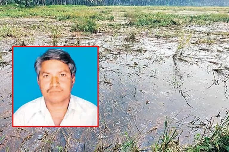 farmer died due to rain, FARMER DIED IN EAST GODAVARI
