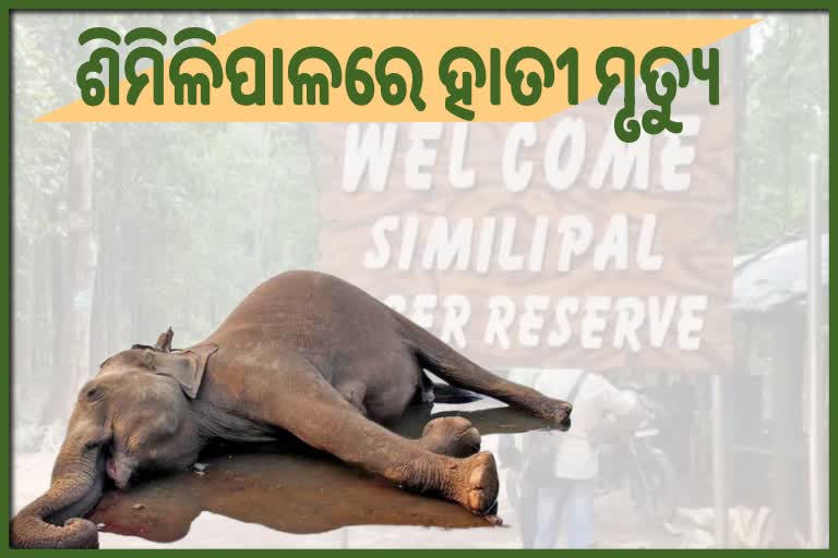 ଶିମିଳିପାଳ ଅଭୟାରଣ୍ୟରେ(Simlipal Sanctuary) ହାତୀର ମୃତ୍ୟୁ