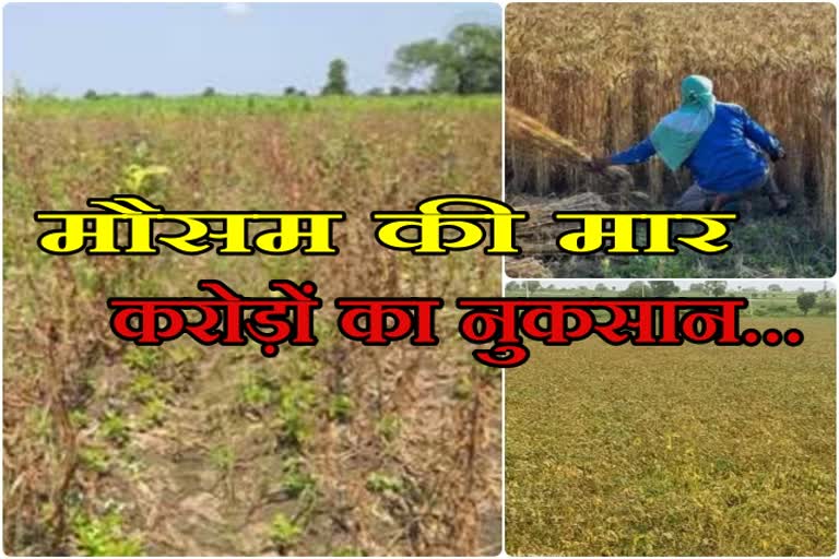 crop damage compensation in dungarpur