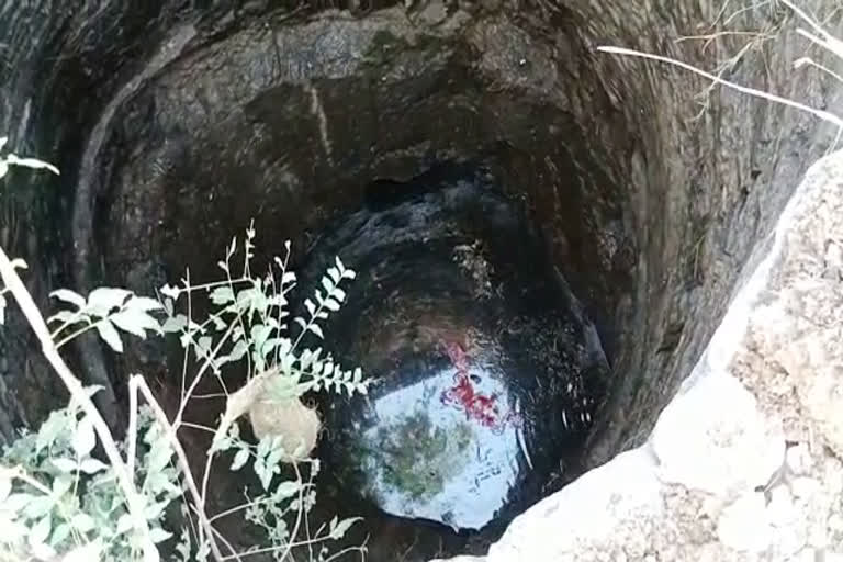 Brother and sister fell in a well in Ajmer