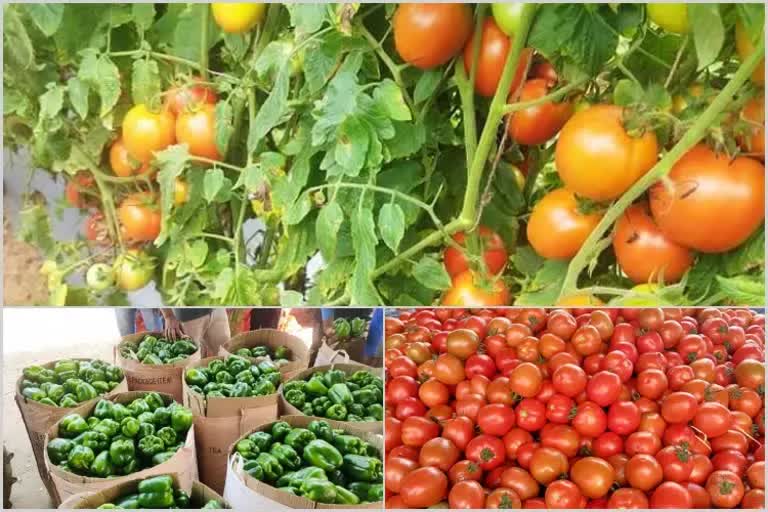 Vegetable  price  in Bangalore