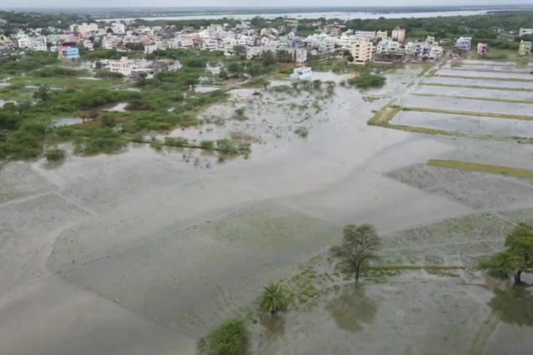 నెల్లూరు జిల్లాలో పొంగుతున్న వాగులు, వంకలు