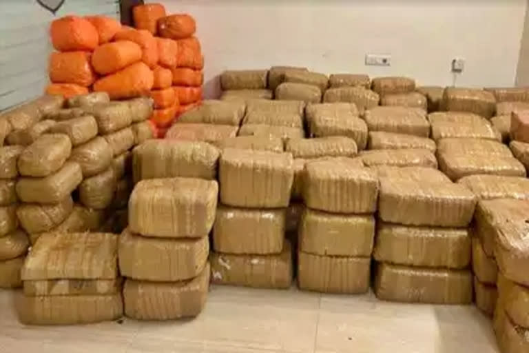 Ganja Seized in Sangareddy