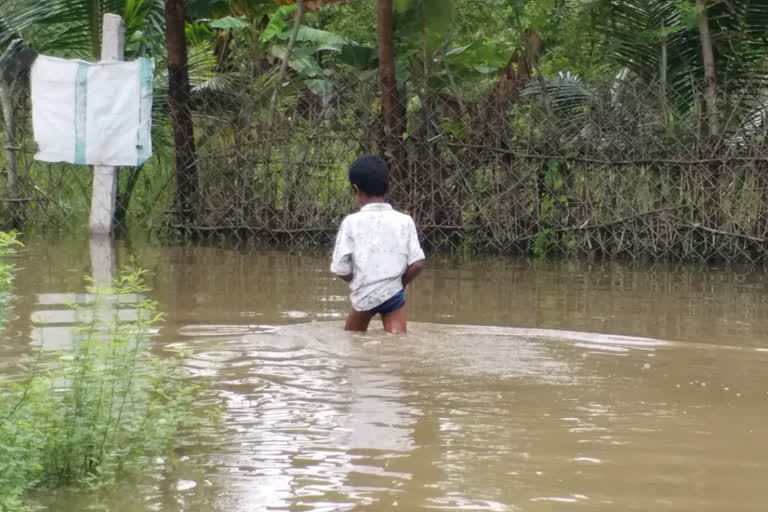 thiruvarur floods, nannilam floods, nannilam rain, thiruvarur rain, திருவாரூர் மழை, நன்னிலம் வெள்ளம், திருவாருர் மழை செய்திகள், மழை செய்திகள், தமிழ்நாடு மழை, மழை வெள்ள சேதங்கள்