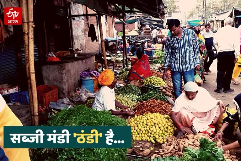 Vegetable prices in Kota,  Kota retail market price