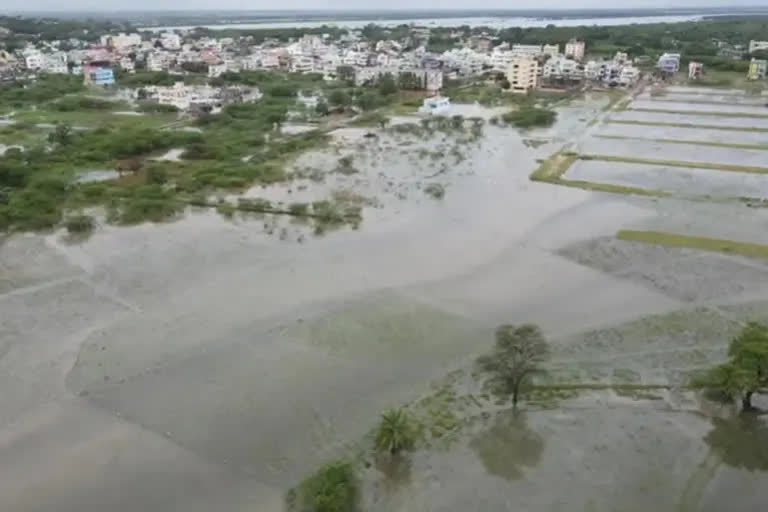 Heavy rains in andhra pradesh, Heavy rains in nellore district
