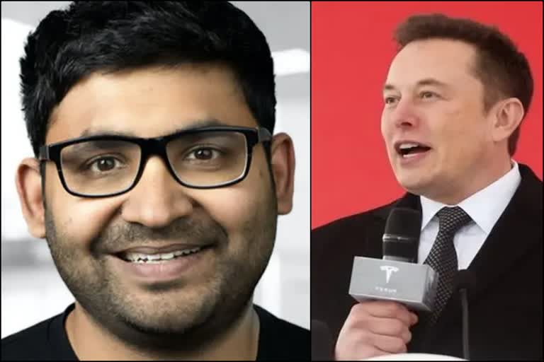 Parag Agrawal Elon Musk