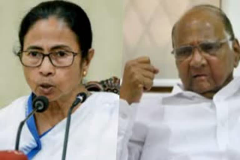 WB CM Mamta Banerjee will meet Sharad Pawar during Mumbai Visit