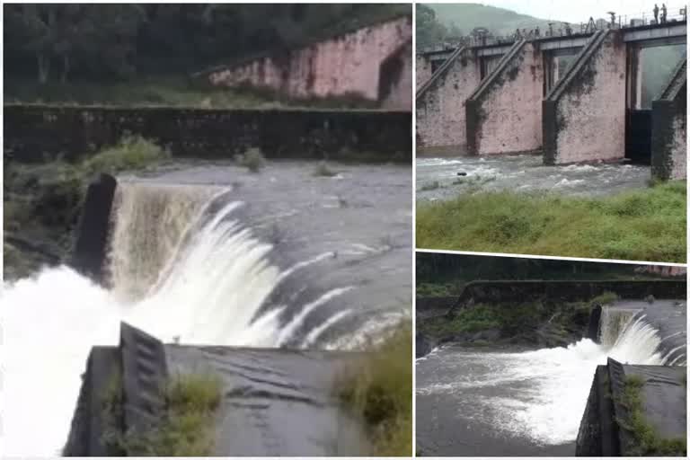 Mullaperiyar Dam idukki maximum water capacity  മുല്ലപ്പെരിയാർ ഡാം അണക്കെട്ട് ഷട്ടര്‍ തുറന്നു  ഇടുക്കി വാര്‍ത്ത  idukki todays news  kerala todays news