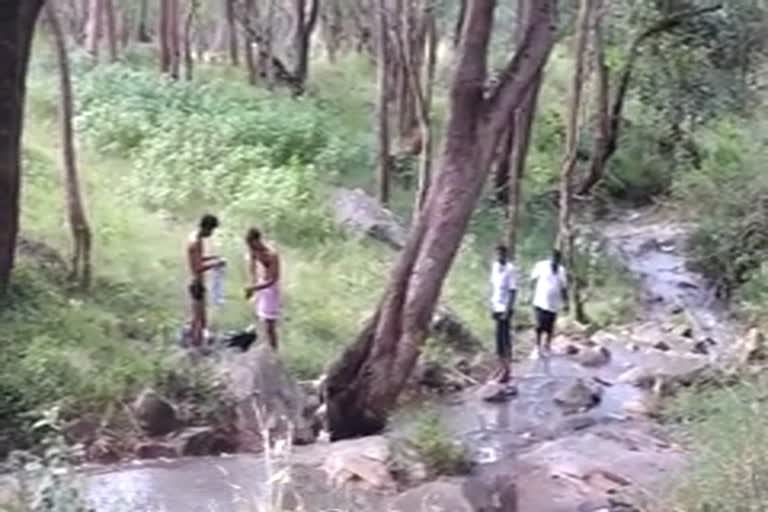 tourist bathing