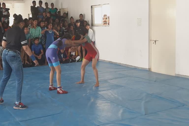 College Wrestling Competition: પાટણ હેમચંદ્રાચાર્ય ઉત્તર ગુજરાત યુનિવર્સિટીમાં કુસ્તી સ્પર્ધા યાજાઈ, 128 સ્પર્ધકોએ ભાગ લીધો