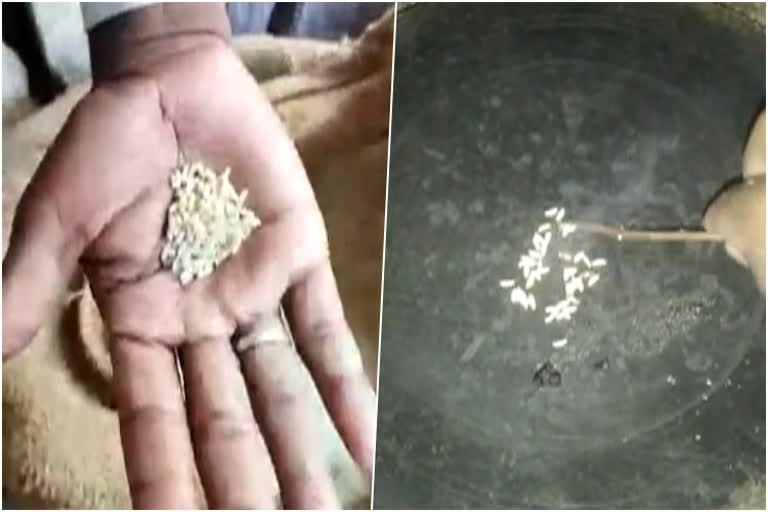 plastic-rice-found-in ration shop