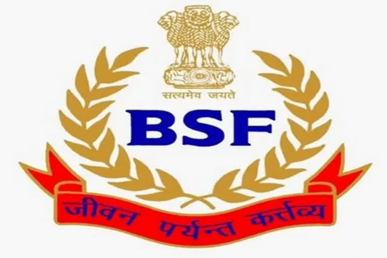 BSF (file photo)