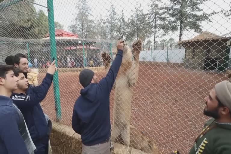 First zoo opened in Syria's Idlib draws locals