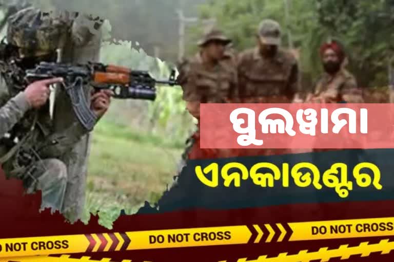 ସେନା ଗୁଳିରେ ଟଳିଲେ ୨ ଆତଙ୍କୀ