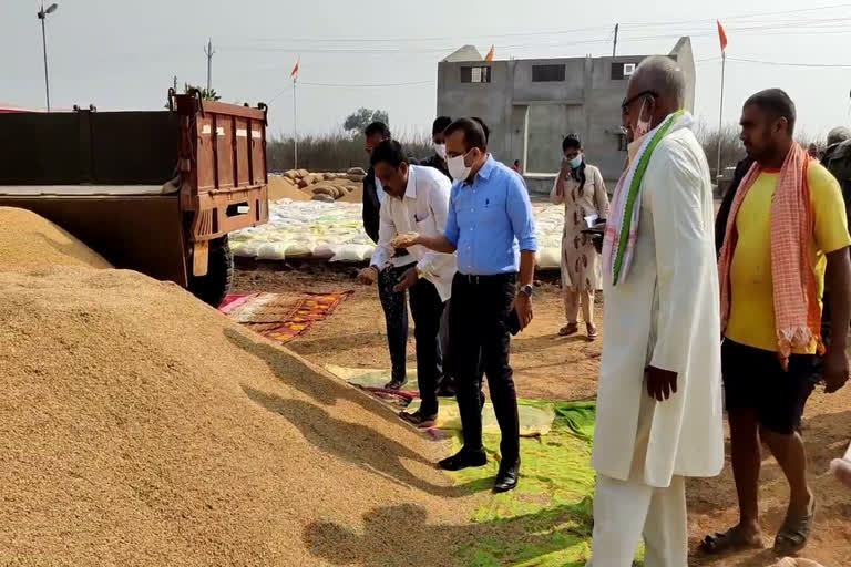 Paddy procurement started in Balod