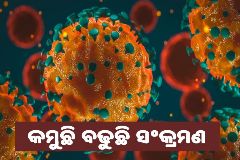 ଦିନକରେ ଚିହ୍ନଟ ହେଲେ ୨୩୭ ଆକ୍ରାନ୍ତ