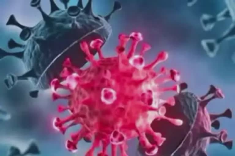 Omicron Covid-19 Virus: બ્રાઝિલમાં બે કેસ, લેટિન અમેરિકામાં એક કેસ નોંધાયો