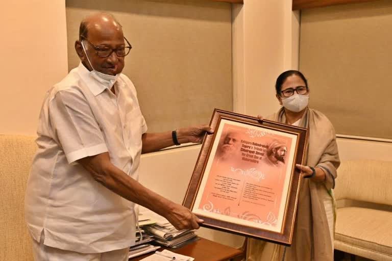 Mamata banerjee Sharad pawar mee