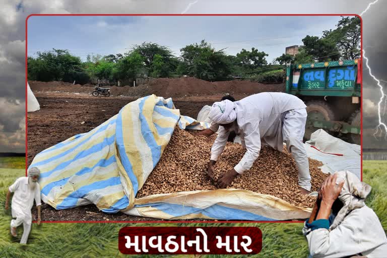 Unseasonal Rain in Bhavnagar: મહુવામાં હવામાન વિભાગ દ્વારા ફરી વરસાદ પડવાની આગાહી