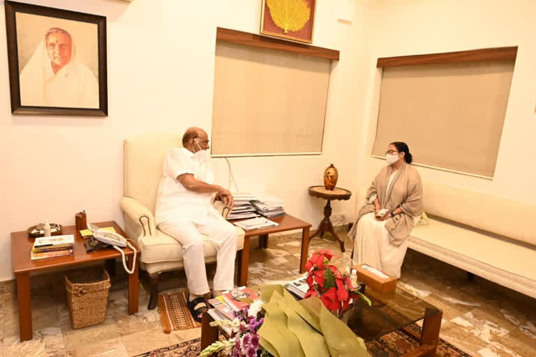 pawar mamta meet