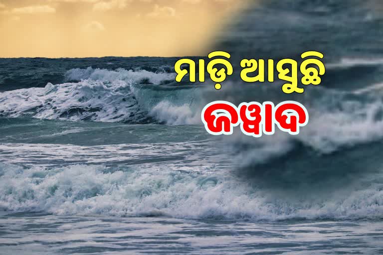 Jawad Update: ୪ ଜିଲ୍ଲାକୁ ରେଡ୍‌ ୱାର୍ଣ୍ଣିଂ, ୧୦୦ କିମି ବେଗରେ ବହିବ ପବନ